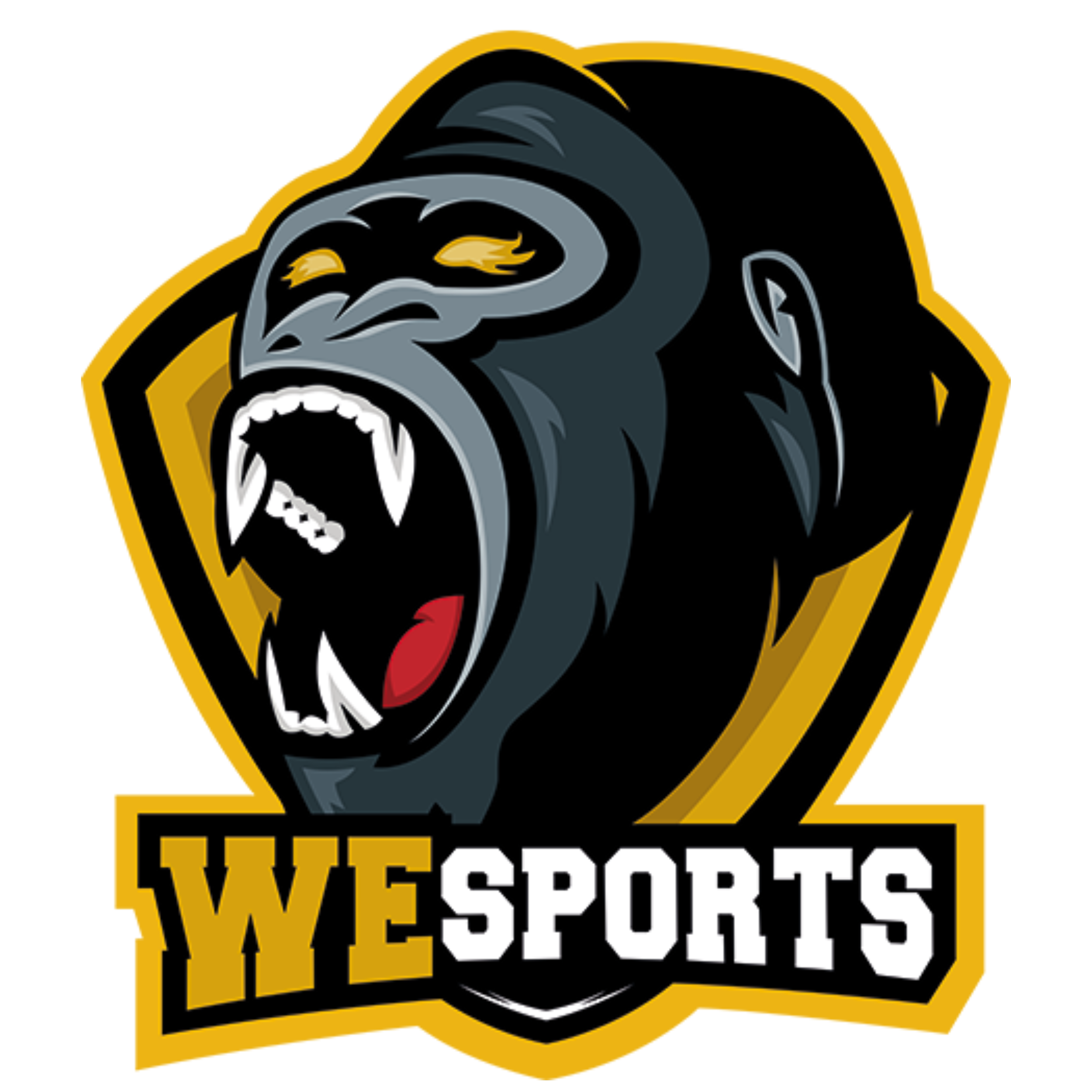 WeSports